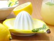 画像3: イタリア製 輸入雑貨 直輸入 レモン スクイーザー レモン絞り 小皿 バッサーノ ハンドペイント リビングスタジオ BRE-714LE (3)