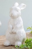 画像1: 輸入雑貨 置物 ウサギ ラビット 陶器 オブジェ オーナメント ヨーロピアン アンティーク風 シャビーシック 85534RB 直輸入 リビングスタジオ (1)