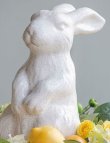 画像3: 輸入雑貨 置物 ウサギ ラビット 陶器 オブジェ オーナメント ヨーロピアン アンティーク風 シャビーシック 85534RB 直輸入 リビングスタジオ (3)