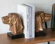 画像1: 輸入雑貨 ブックエンド イヌ ブロンズ風 犬 本立て アンティーク風 ヨーロピアン シャビー -cot- AN-5519 送料無料 直輸入 リビングスタジオ (1)