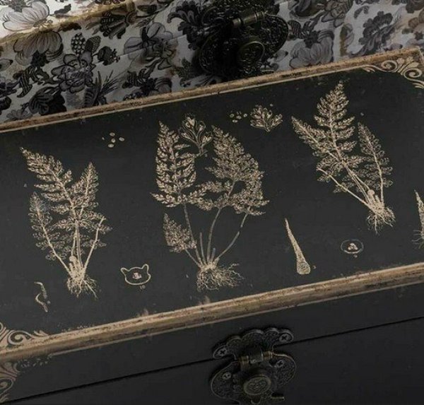 画像10: 輸入雑貨 ボックス 3点セット 小物入れ シャビーシック アンティーク風 収納 宝石箱 ジュエリー AN-44564 送料無料 直輸入 リビングスタジオ (10)