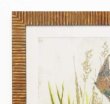 画像2: イタリア製 輸入雑貨 額絵 アートフレーム 蝶々 バタフライ ナチュラル ガーデン カントリー 20-717900 送料無料 直輸入 リビングスタジオ (2)