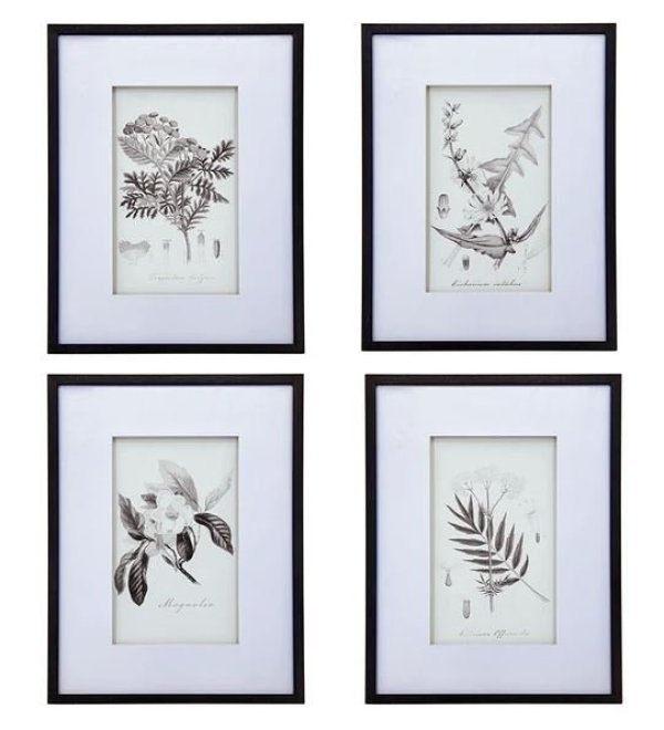 画像1: 輸入雑貨 額絵 植物柄 アートフレーム 4枚セット ボタニカルアート ナチュラル デッサン 鉛筆 -cot- AN-43782 送料無料 直輸入 リビングスタジオ (1)