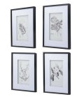 画像2: 輸入雑貨 額絵 植物柄 アートフレーム 4枚セット ボタニカルアート ナチュラル デッサン 鉛筆 -cot- AN-43782 送料無料 直輸入 リビングスタジオ (2)