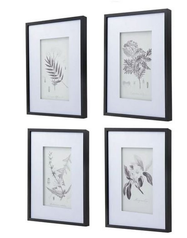 画像2: 輸入雑貨 額絵 植物柄 アートフレーム 4枚セット ボタニカルアート ナチュラル デッサン 鉛筆 -cot- AN-43782 送料無料 直輸入 リビングスタジオ (2)