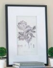 画像7: 輸入雑貨 額絵 植物柄 アートフレーム 4枚セット ボタニカルアート ナチュラル デッサン 鉛筆 -cot- AN-43782 送料無料 直輸入 リビングスタジオ (7)