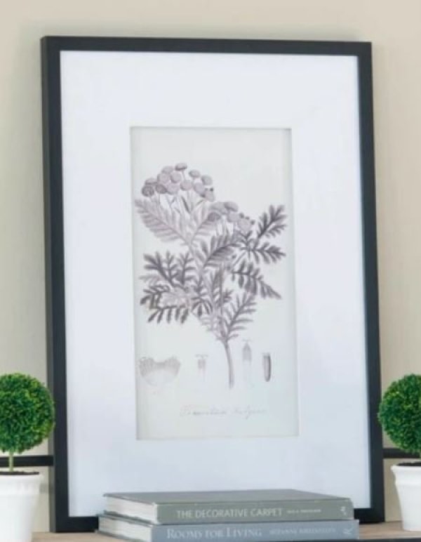 画像7: 輸入雑貨 額絵 植物柄 アートフレーム 4枚セット ボタニカルアート ナチュラル デッサン 鉛筆 -cot- AN-43782 送料無料 直輸入 リビングスタジオ (7)