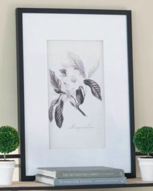 画像6: 輸入雑貨 額絵 植物柄 アートフレーム 4枚セット ボタニカルアート ナチュラル デッサン 鉛筆 -cot- AN-43782 送料無料 直輸入 リビングスタジオ (6)
