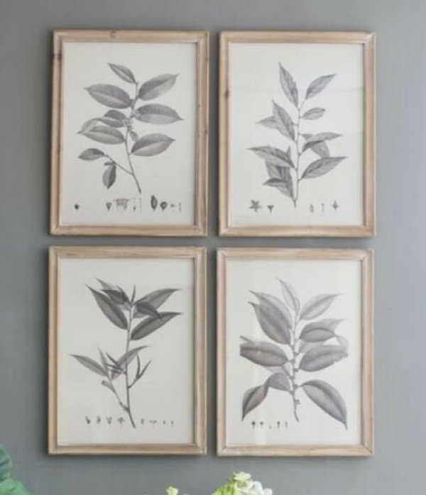 画像3: 輸入雑貨 額絵 植物柄 アートフレーム 4枚セット ボタニカルアート ナチュラル デッサン 鉛筆 -cot- AN-80196 送料無料 直輸入 リビングスタジオ (3)