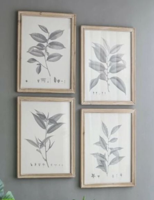 画像2: 輸入雑貨 額絵 植物柄 アートフレーム 4枚セット ボタニカルアート ナチュラル デッサン 鉛筆 -cot- AN-80196 送料無料 直輸入 リビングスタジオ (2)