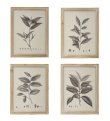 画像1: 輸入雑貨 額絵 植物柄 アートフレーム 4枚セット ボタニカルアート ナチュラル デッサン 鉛筆 -cot- AN-80196 送料無料 直輸入 リビングスタジオ (1)
