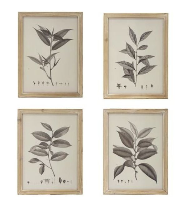 画像1: 輸入雑貨 額絵 植物柄 アートフレーム 4枚セット ボタニカルアート ナチュラル デッサン 鉛筆 -cot- AN-80196 送料無料 直輸入 リビングスタジオ (1)