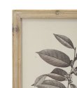 画像8: 輸入雑貨 額絵 植物柄 アートフレーム 4枚セット ボタニカルアート ナチュラル デッサン 鉛筆 -cot- AN-80196 送料無料 直輸入 リビングスタジオ (8)