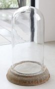 画像1: 輸入雑貨 輸入雑貨 スチールボトム ガラスドーム ガラス ディスプレイ Covent Garden コベントガーデン アレンジ ナチュラル シンプル AR-12 送料無料 (1)